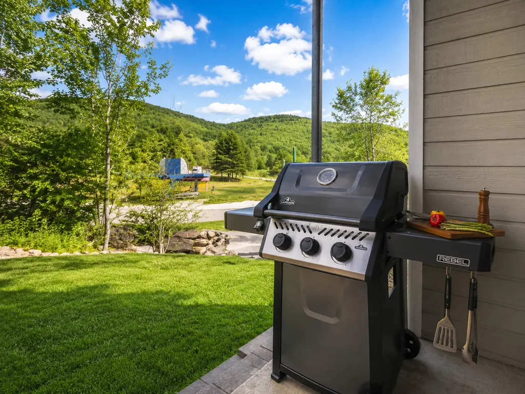 BBQ sur la terrasse avec la montagne verte en arrière-plan