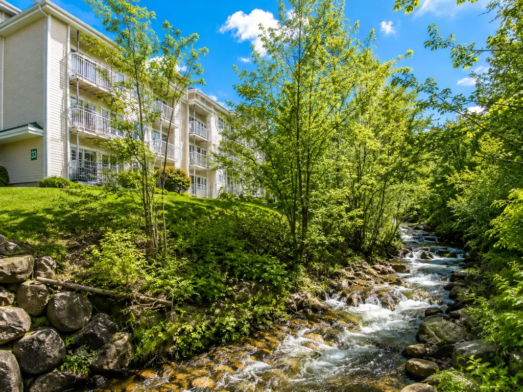 Rivière qui coule entre les arbres à côté des immeubles du condo, en été